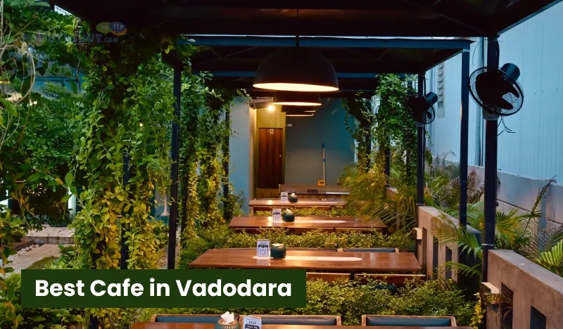 Best Cafe in Vadodara.webp